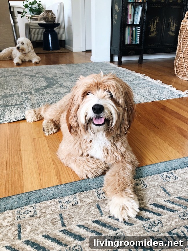 Easter with Four Doodles: Our Holiday Recap and Photos 8 img 116565 7 1