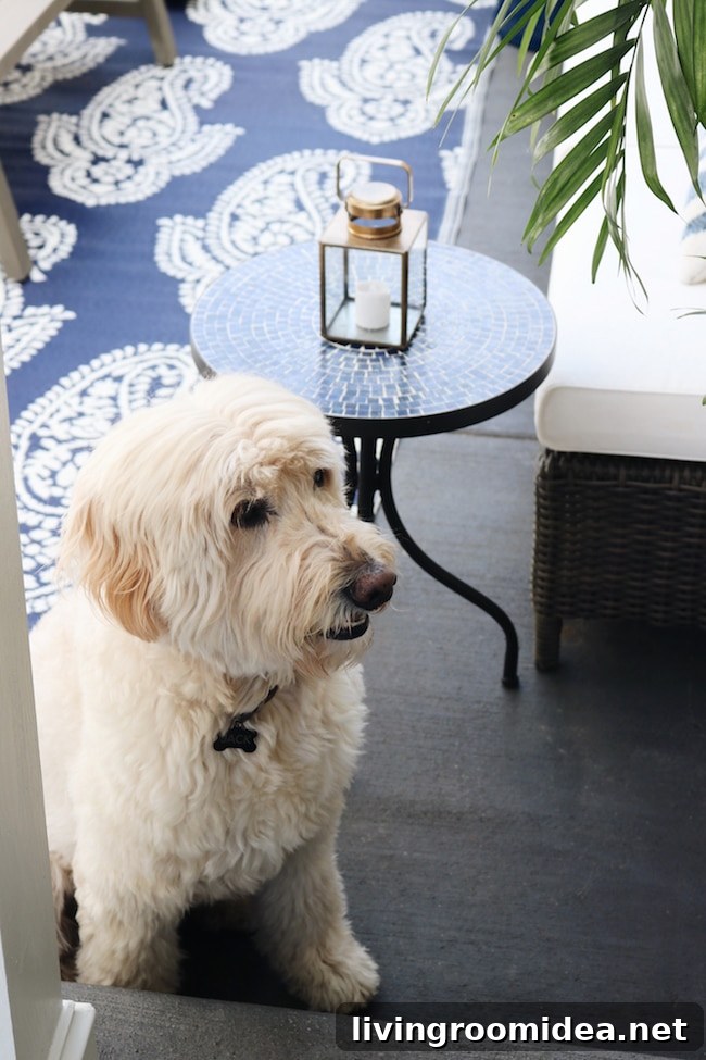 Spring Patio Refresh: Transform Your Side Outdoor Oasis 3 img 116867 2 1