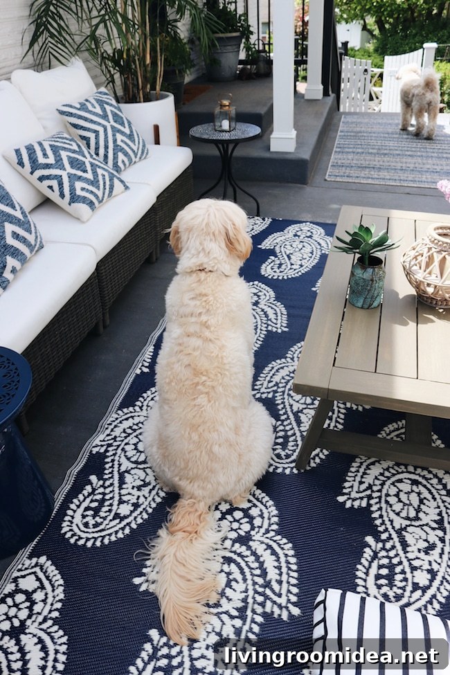Spring Patio Refresh: Transform Your Side Outdoor Oasis 6 img 116867 5 1