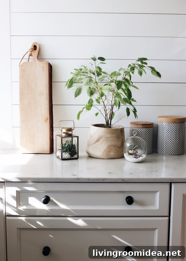 DIY Terrarium Diffuser with essential oils