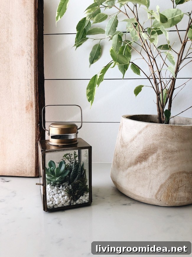 DIY Terrarium Diffuser with essential oils 