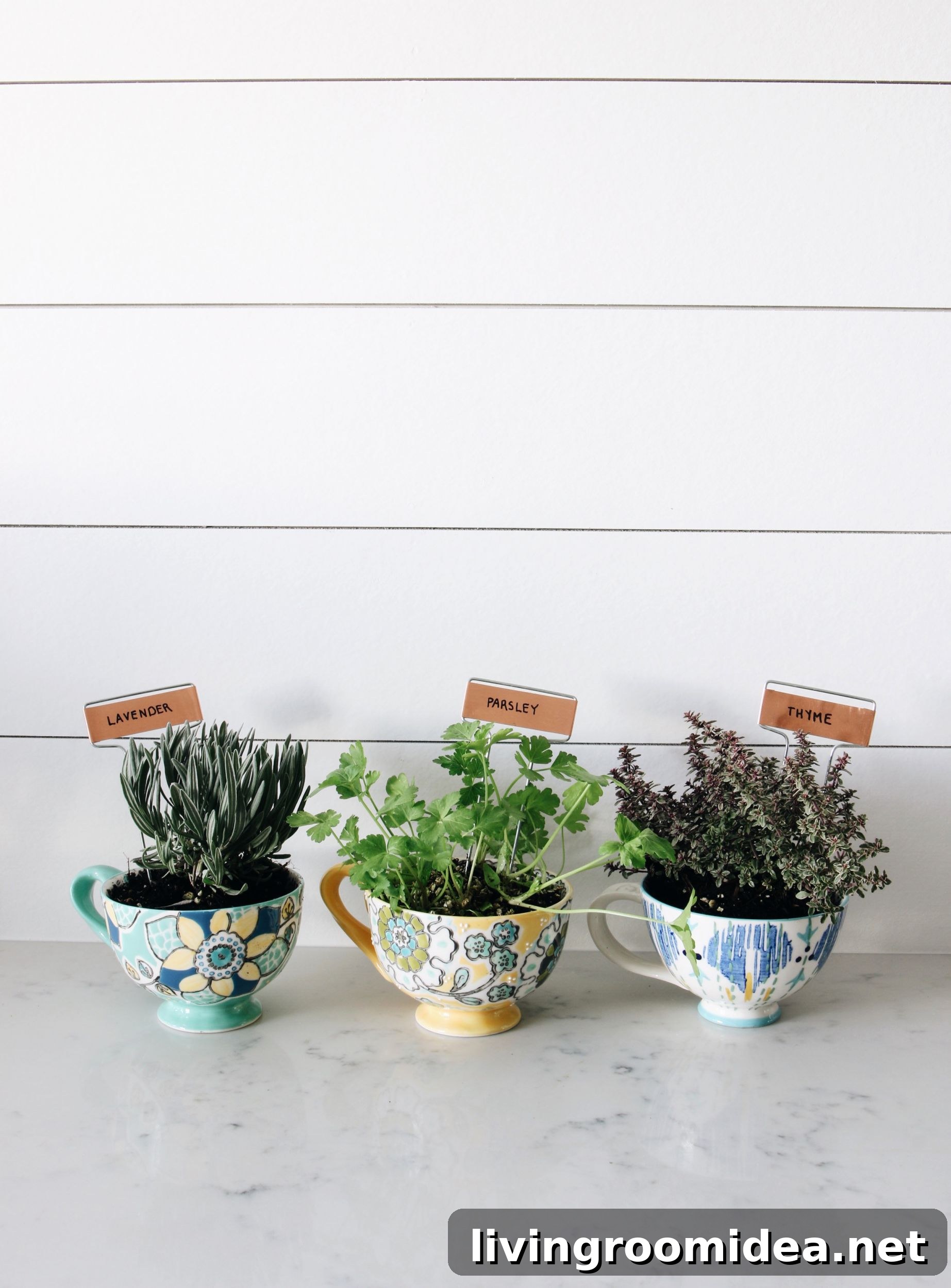 Grow Herbs in Coffee Mugs: Simple Indoor Container Garden Guide 5 img 117059 4