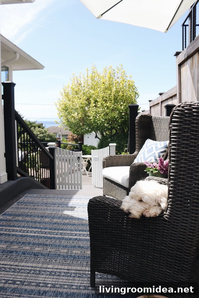 This image has an empty alt attribute; its file name is Lily-Labradoodle-Outside.jpg