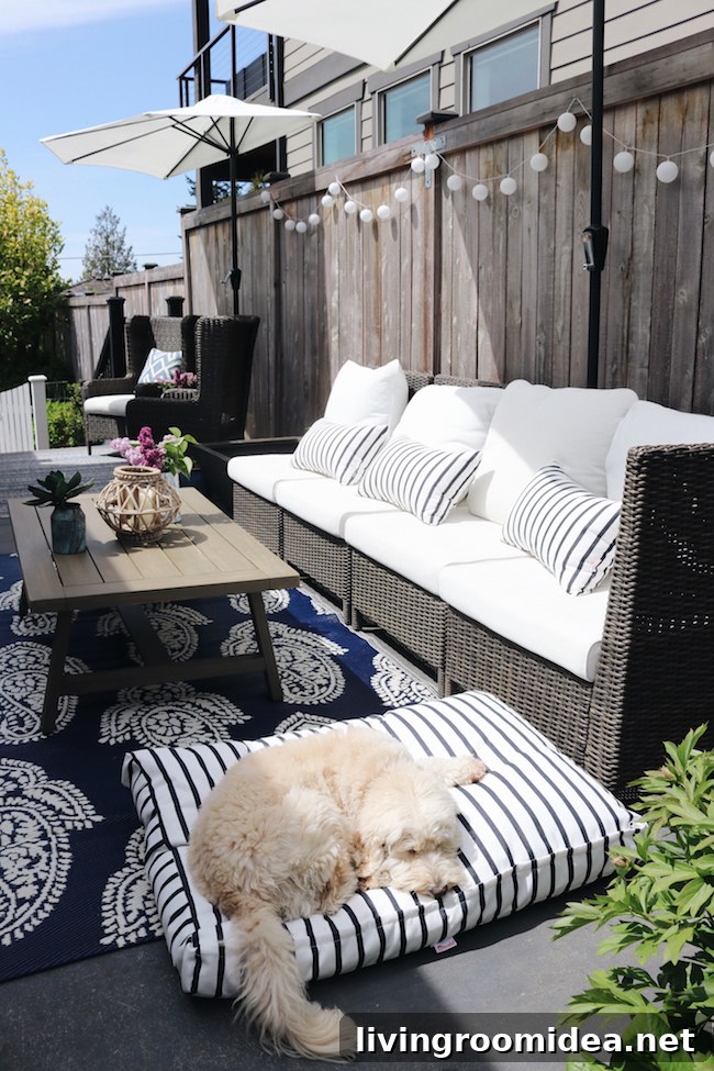 outdoor cushions and rugs
