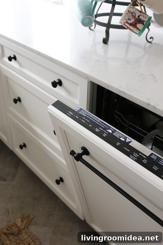 dishwasher with a cabinet front