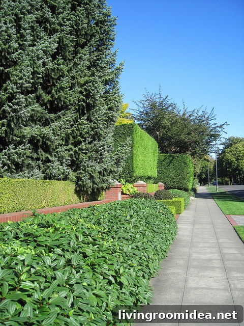 img 11942 5