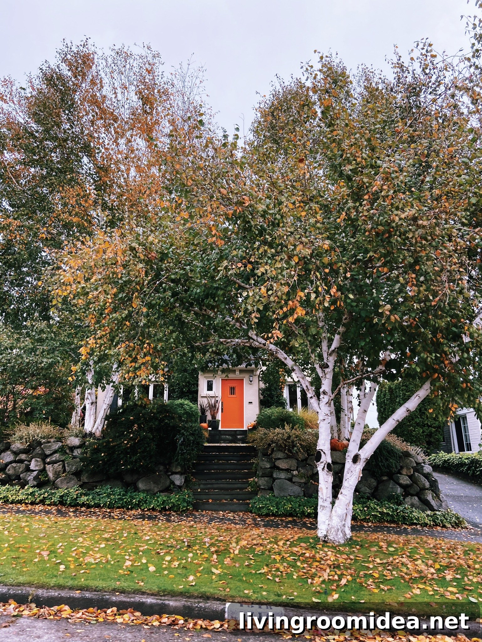 img 121123 28 1