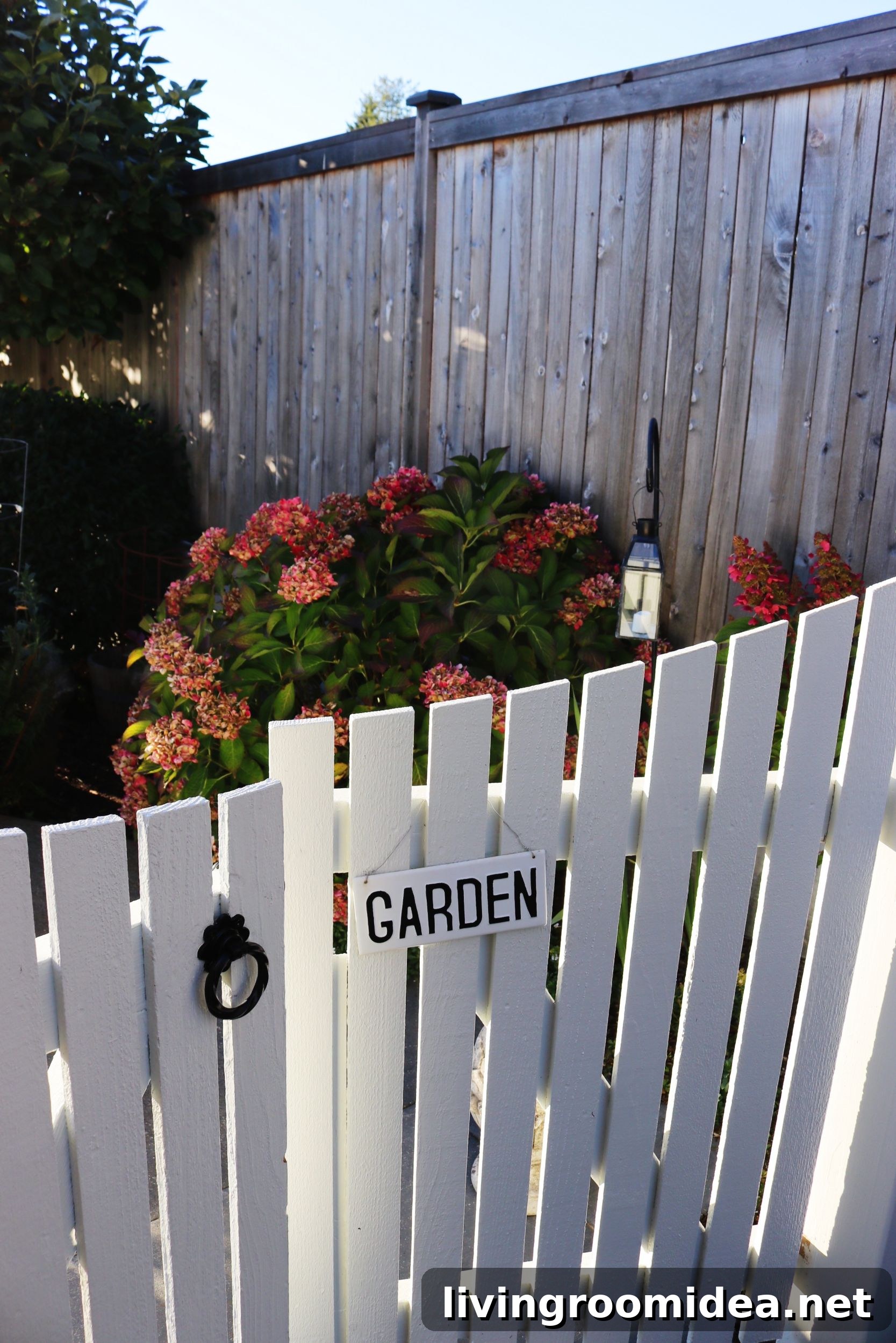 autumn hydrangeas with white picket gates