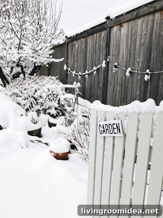 4 Cozy Ways to Set a Warm Winter Mood 4 snowy garden gate