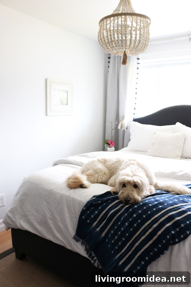 Finding Joy at Home: Lessons From 2019 Reviewed 18 img 122944 17