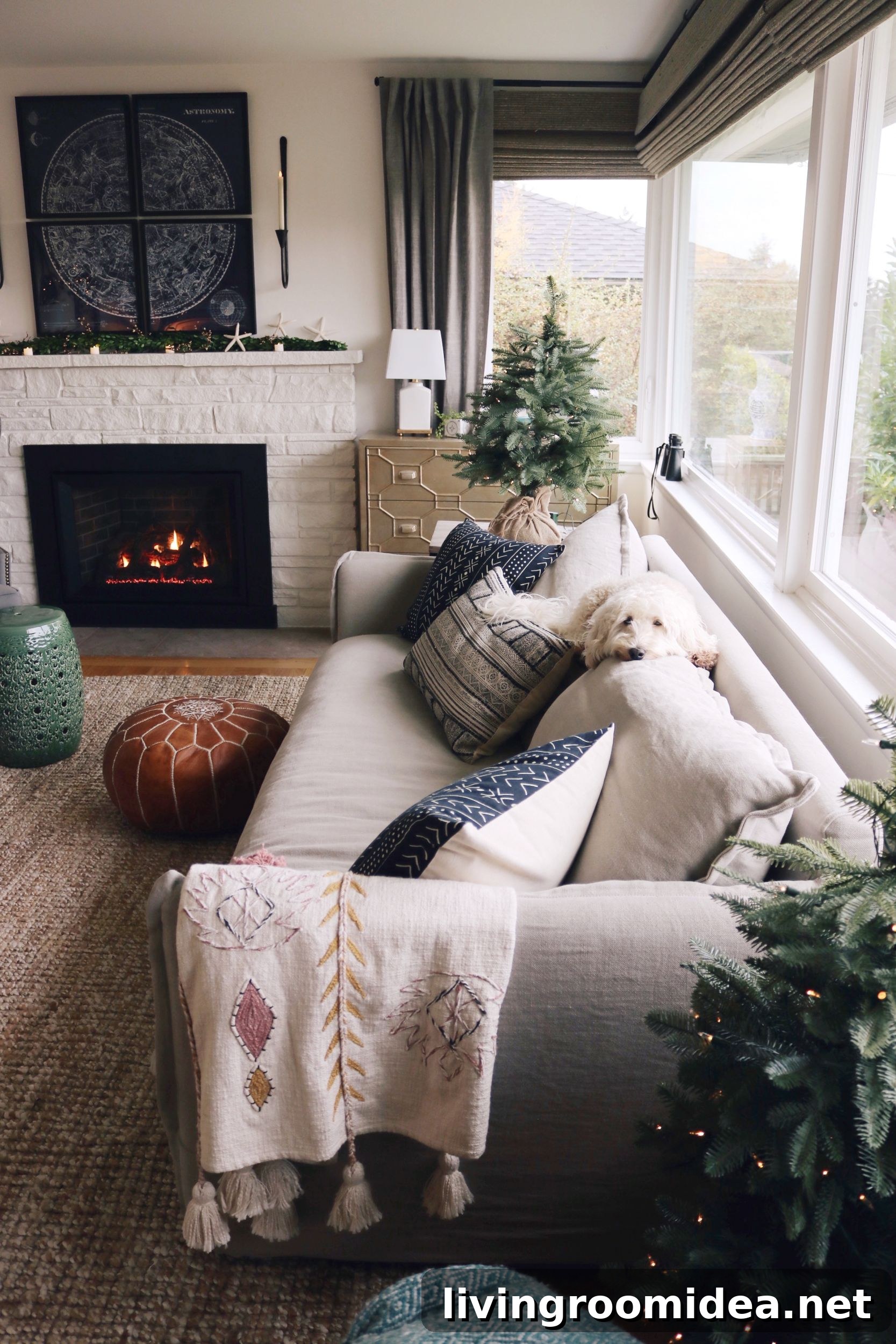 Finding Joy at Home: Lessons From 2019 Reviewed 5 img 122944 4