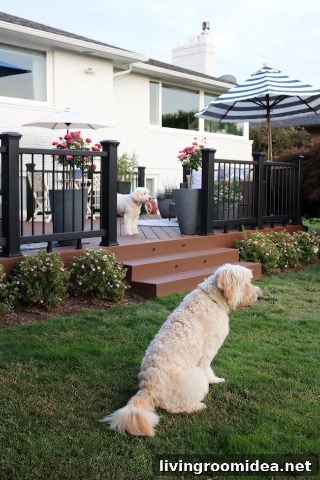 2020 Home Update Plans and Renovation Projects Guide 9 img 123074 8 1
