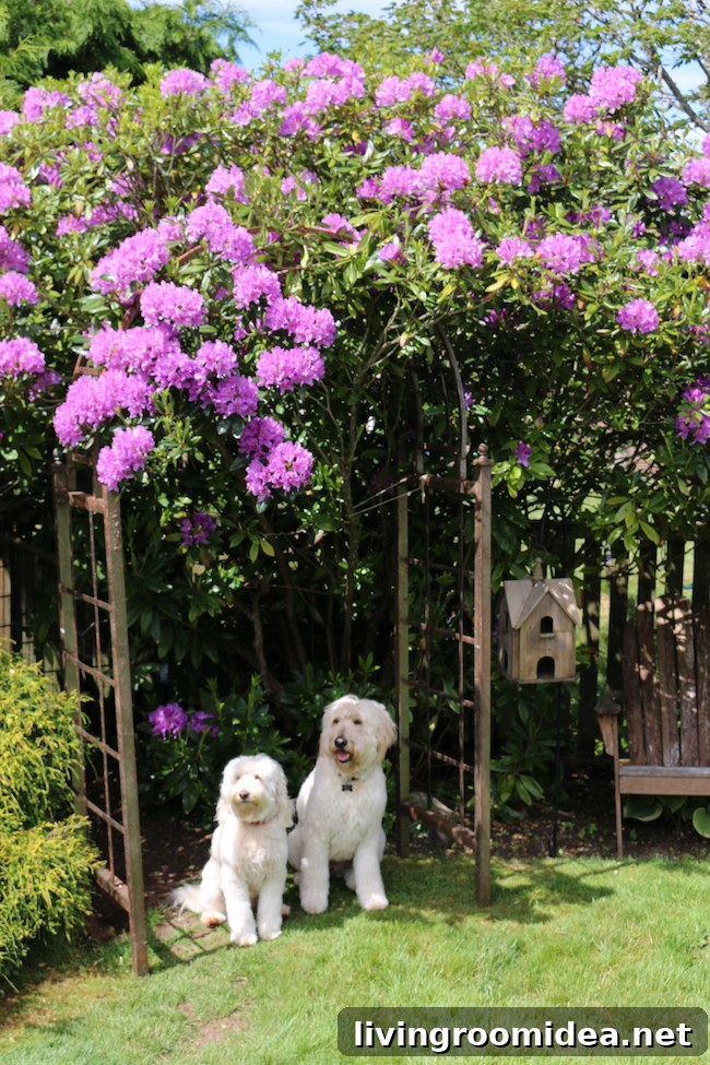 Spring Garden Ideas for Your Yard: Planting Tips & Layouts 2 img 124512 1