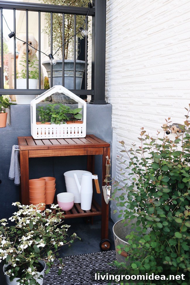 Spring Garden Ideas for Your Yard: Planting Tips & Layouts 7 img 124512 6