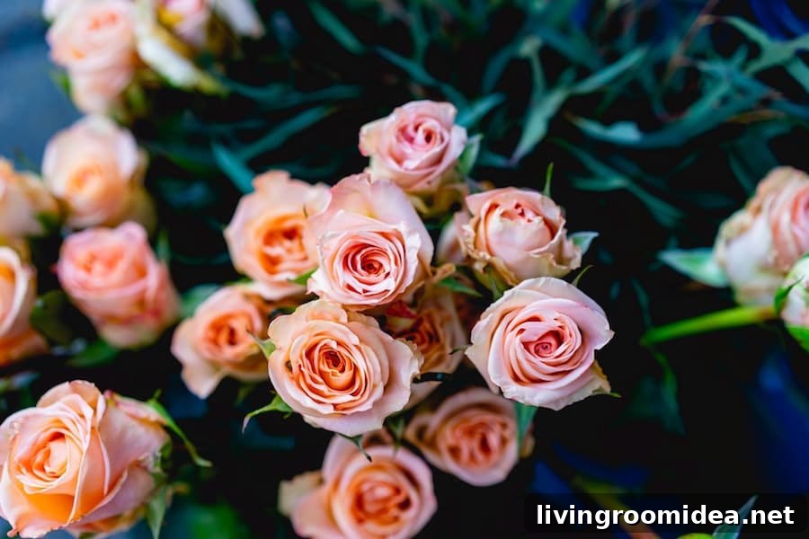 Join Us at The HomeBody Gathering Place: RSVP Today 4 img 124577 3 1