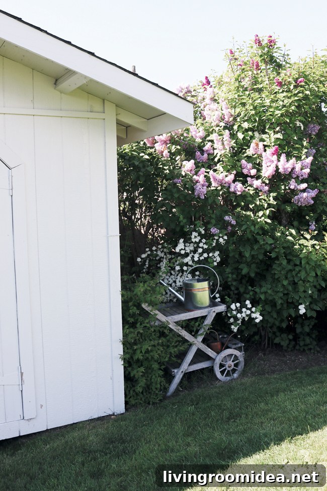 Garden Shed Inspiration: Creative Designs and Ideas 2 img 124829 1