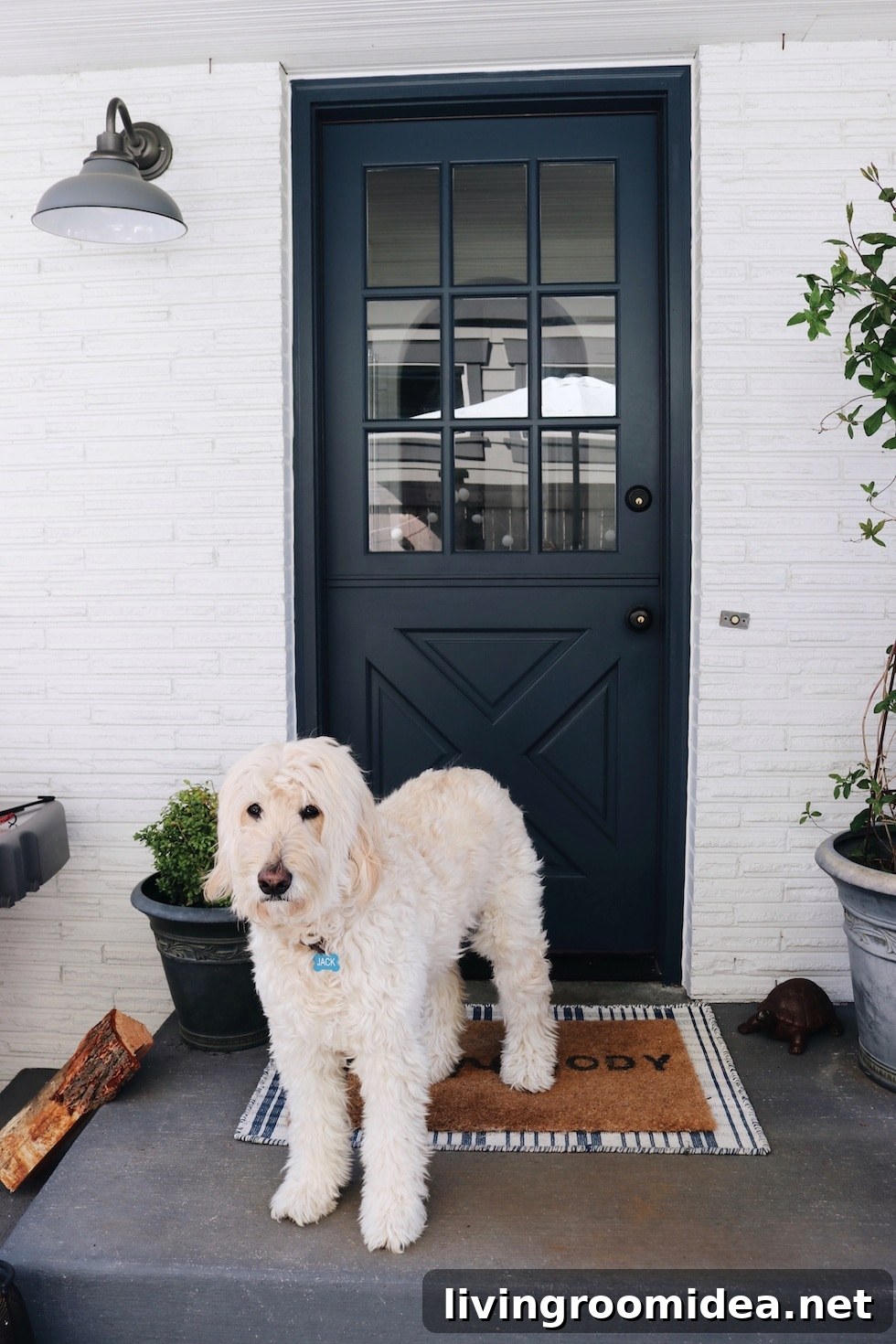 Deck and Patio Refresh: Top Outdoor Favorites for Summer 6 Navy Dutch Door with Goldendoodle