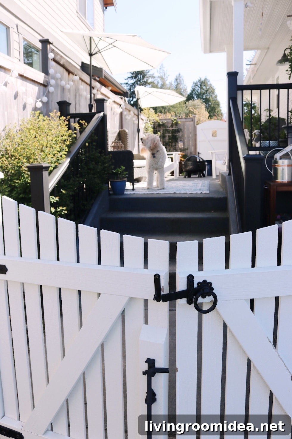Deck and Patio Refresh: Top Outdoor Favorites for Summer 10 White picket gate with black hardware