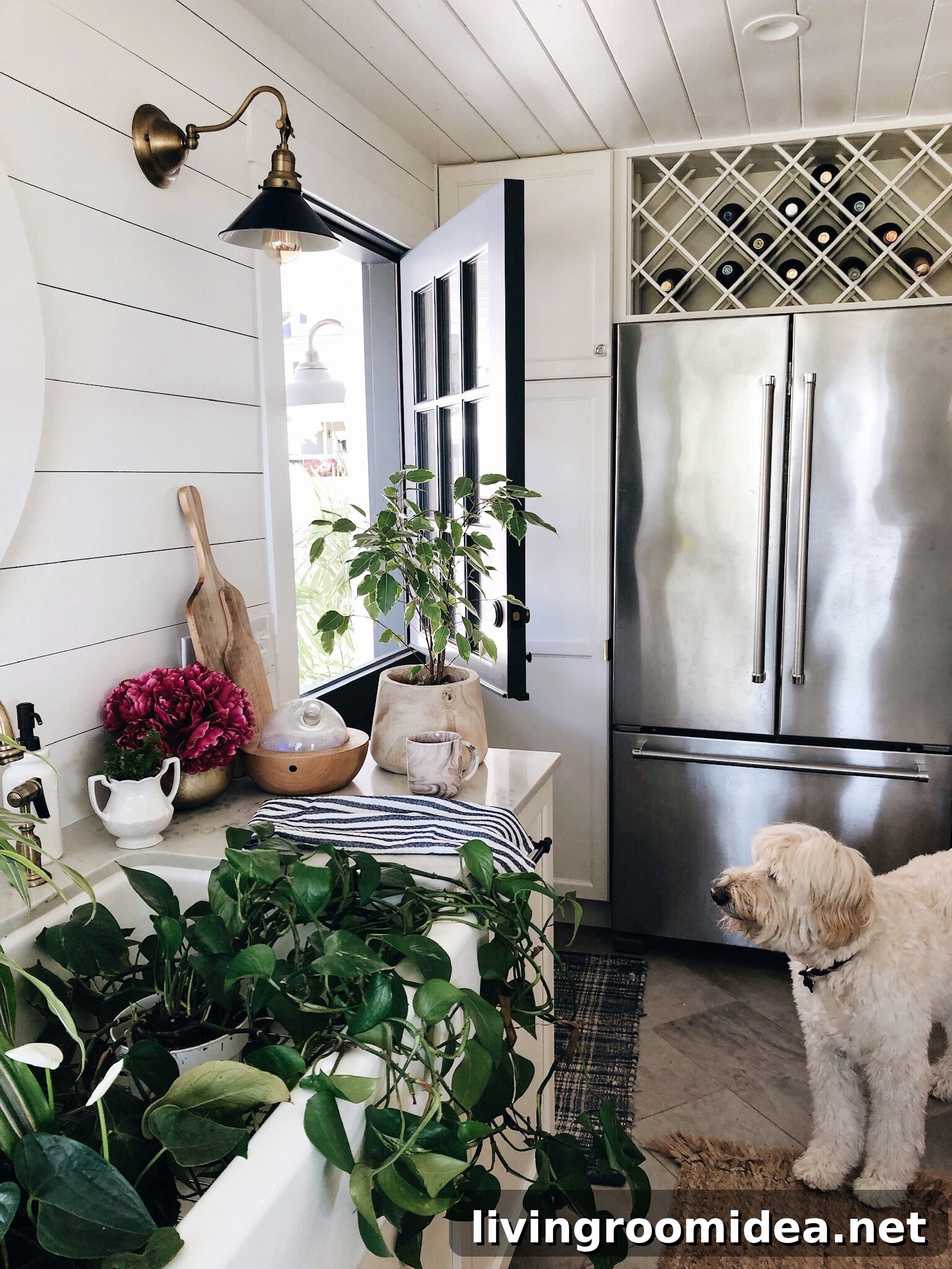 plant care