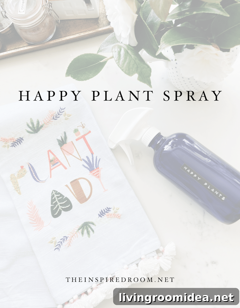 DIY Happy Plant Spray for Your Home and Garden! 