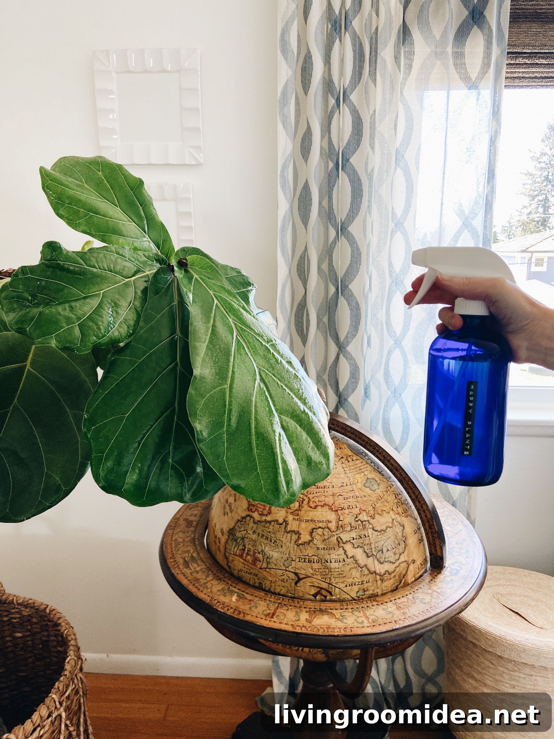 essential oil plant spray