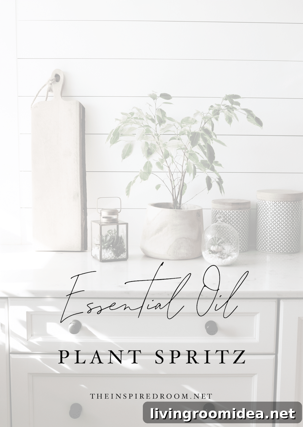 Essential Oil Spray for Plants