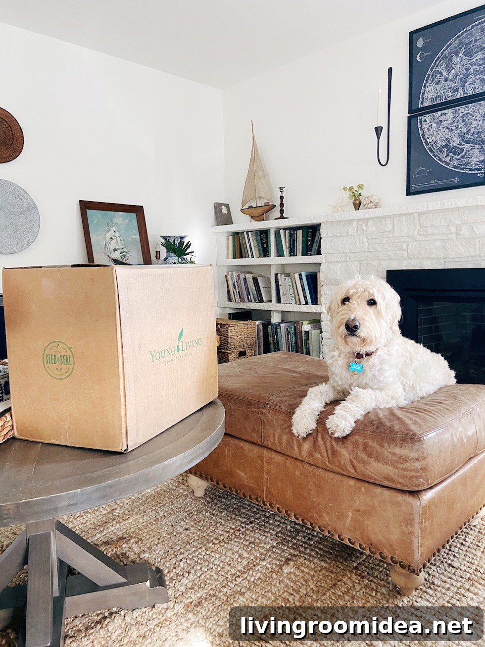 The Inspired Room Essential Rewards Box