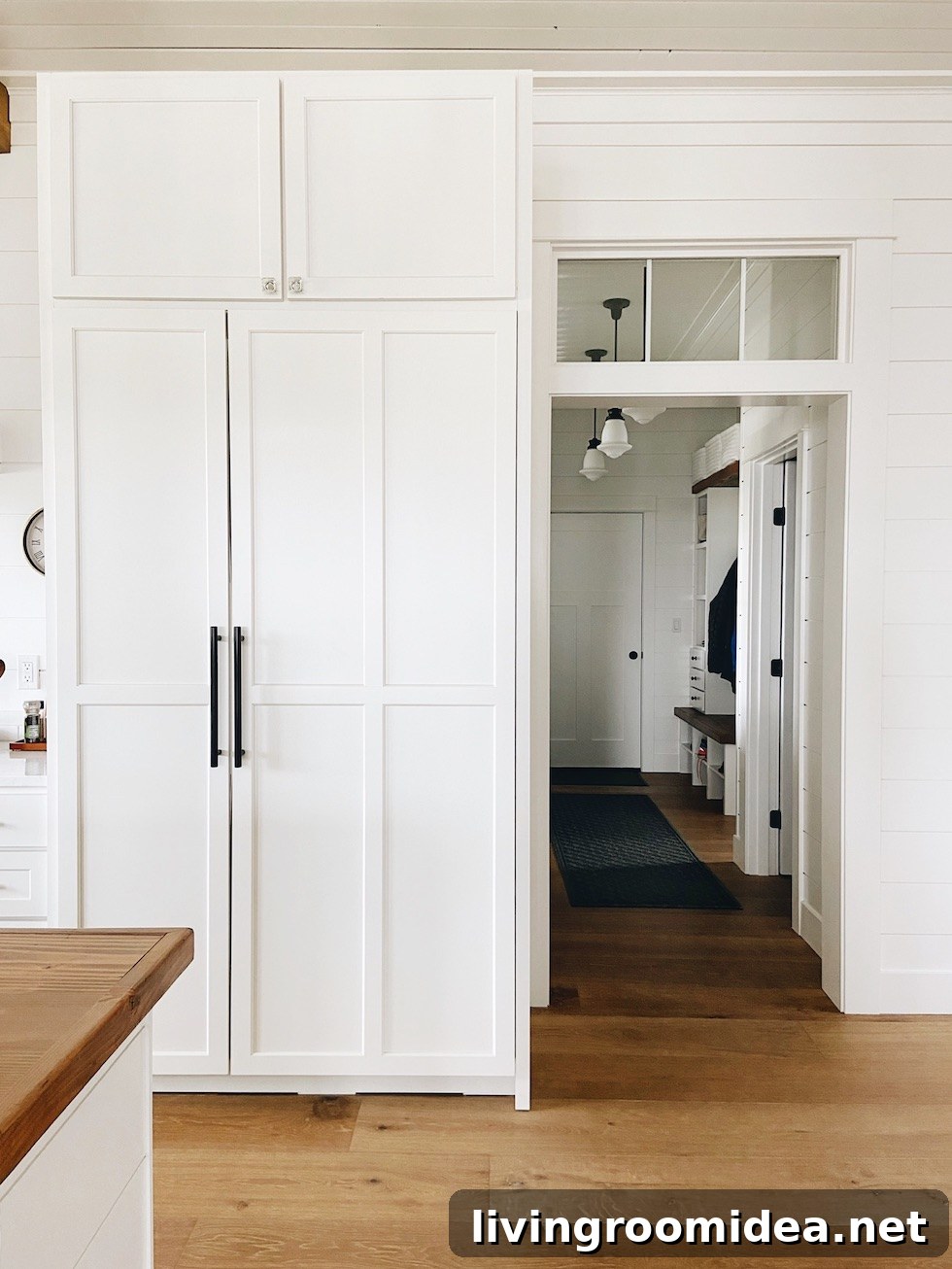 built in cabinets for refrigerator and freezer