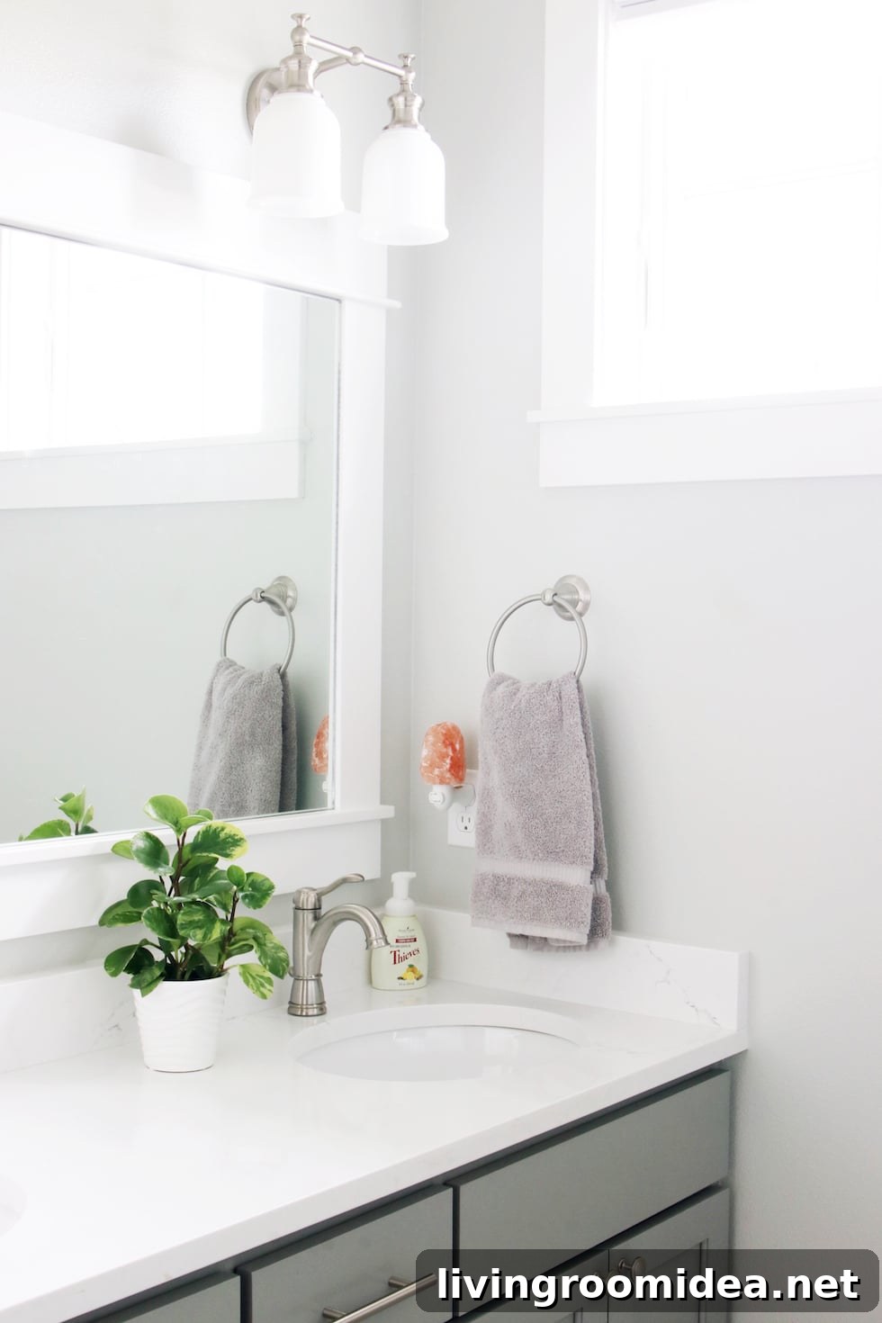 Gray owl paint color bathroom