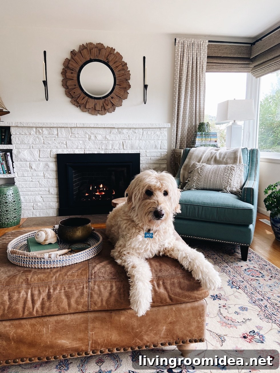 6 Living Room Decorating Tips to Transform Your Space 5 Tips for decorating a living room (plus a Goldendoodle!)