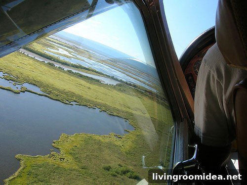 Alaska-Honeymoon-Pic-11