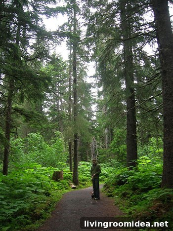 Alaska-Honeymoon-Pic-6