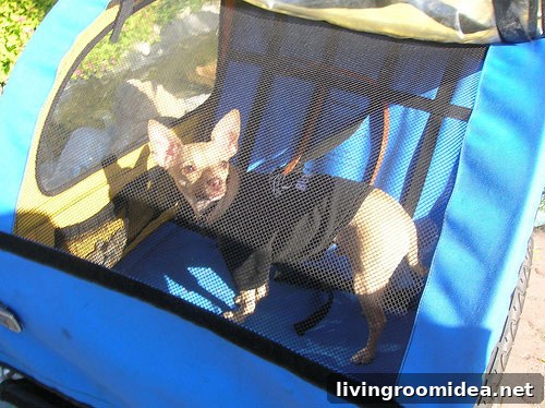 Alaska-Honeymoon-Pic-10