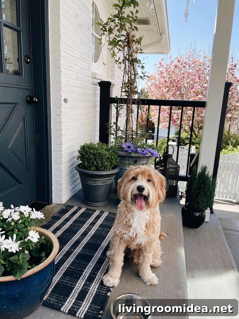 Life Lately: Dogs, Moving, and Our Growing Pack 3 img 134707 2 1