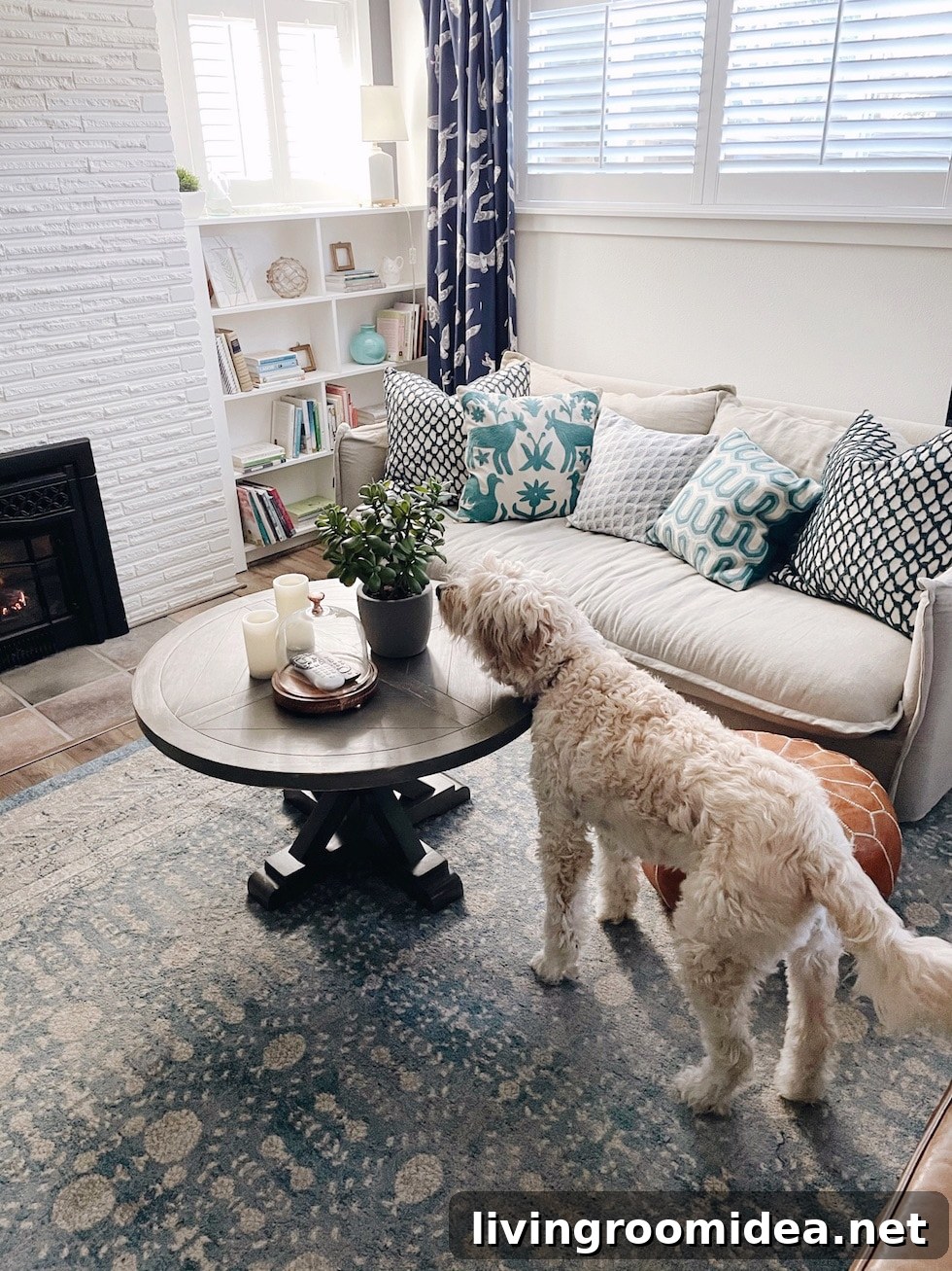 Cozy basement seating with plants