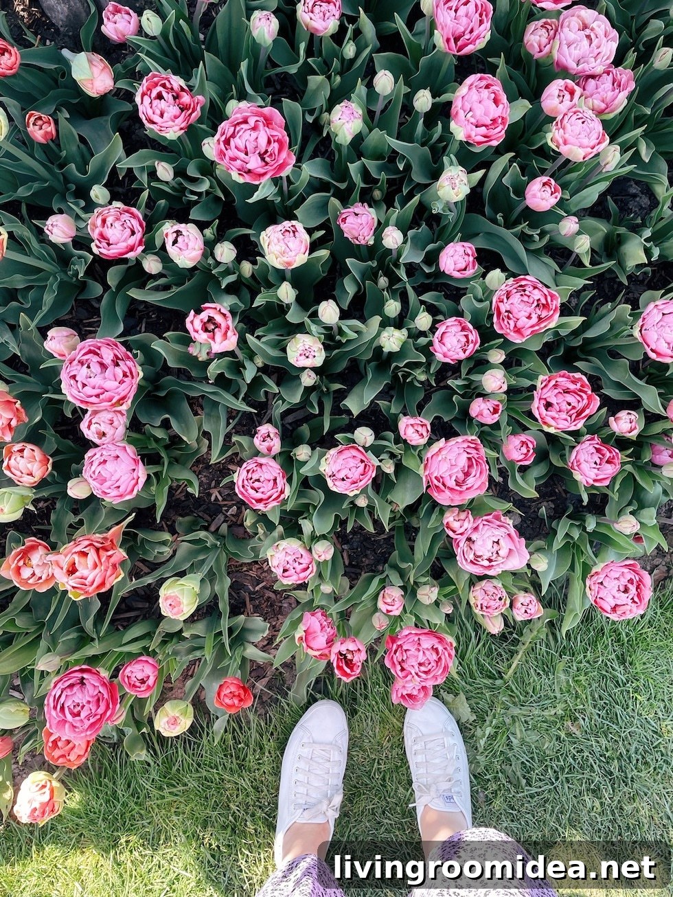 img 134913 11 1