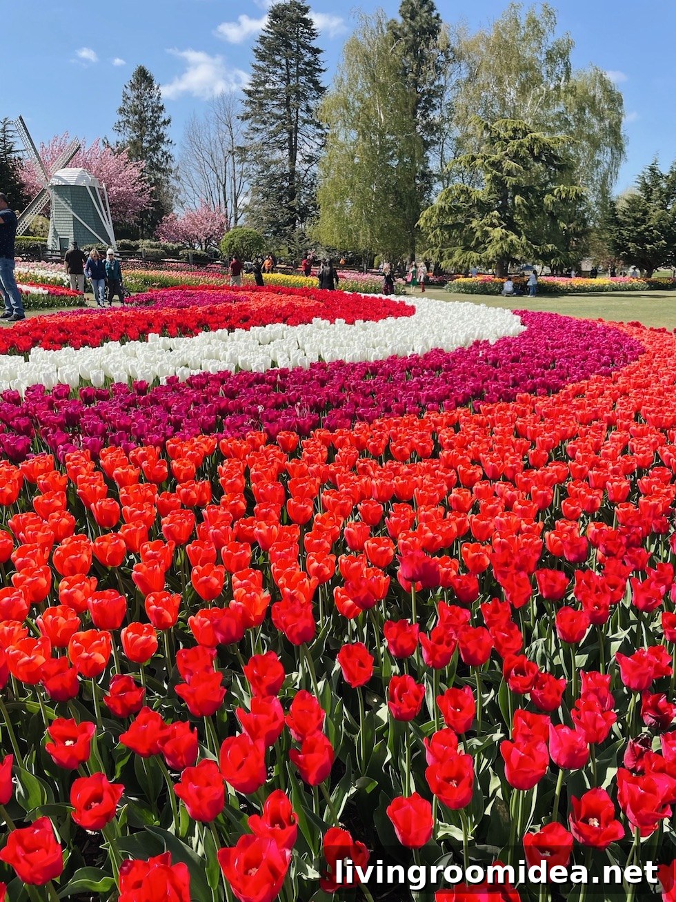 Roozengaarde Tulip Festival Guide: Visiting Washington’s Iconic Fields 14 img 134913 13