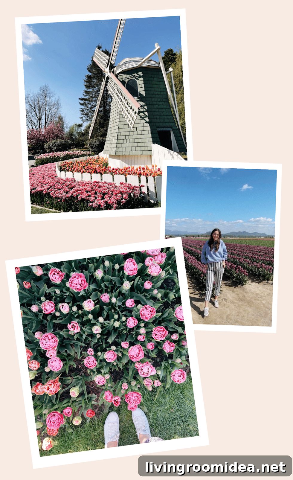 img 134913 17 1