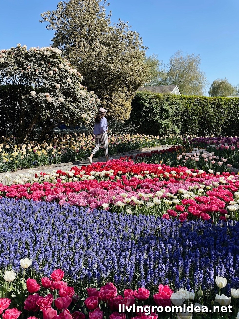 Roozengaarde Tulip Festival Guide: Visiting Washington’s Iconic Fields 21 img 134913 20