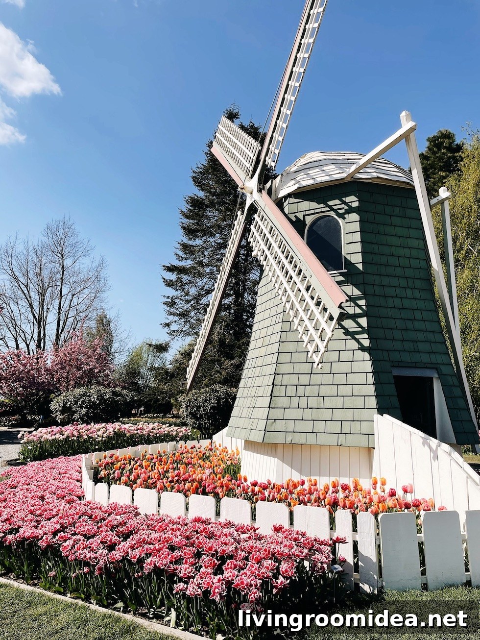 Roozengaarde Tulip Festival Guide: Visiting Washington’s Iconic Fields 25 img 134913 24