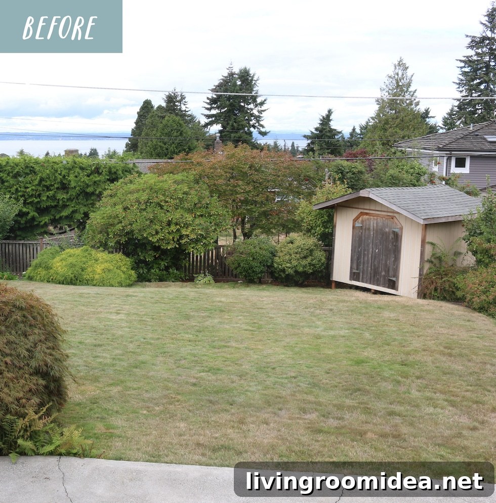 Redesigning Our Garden Shed: How We Visualize Every Change 3 img 135204 2 1