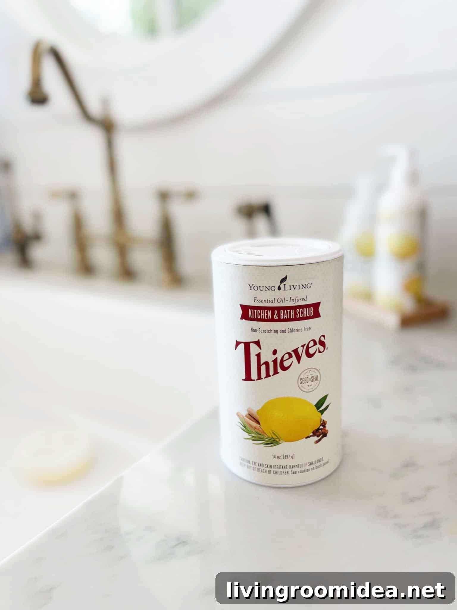 Thieves Kitchen & Bath Scrub Review: Why I Switched to This Cleaning Scrub 2 Thieves Kitchen and Bath Scrub