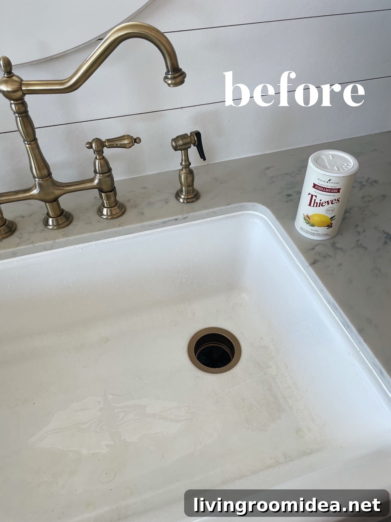 6 Quick Ways to Make Your Sink Sparkle Like New 3 img 135966 2