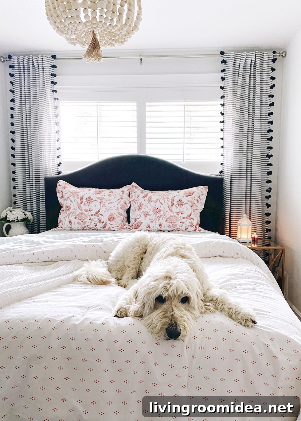 Life After the Nest: Navigating Change as an Empty Nester 7 img 136235 7