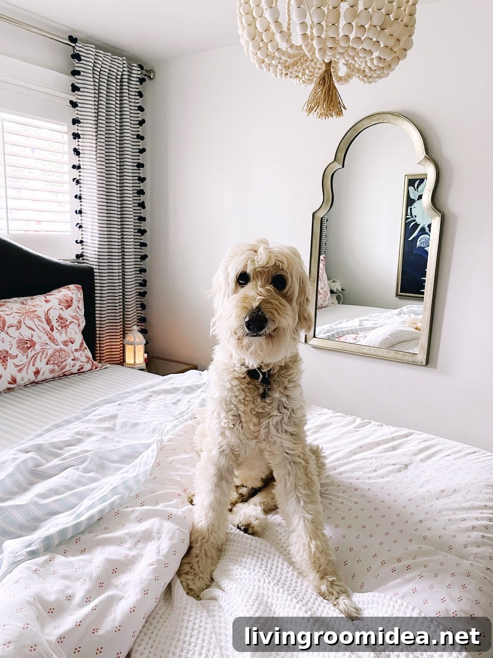 Life After the Nest: Navigating Change as an Empty Nester 9 img 136235 9