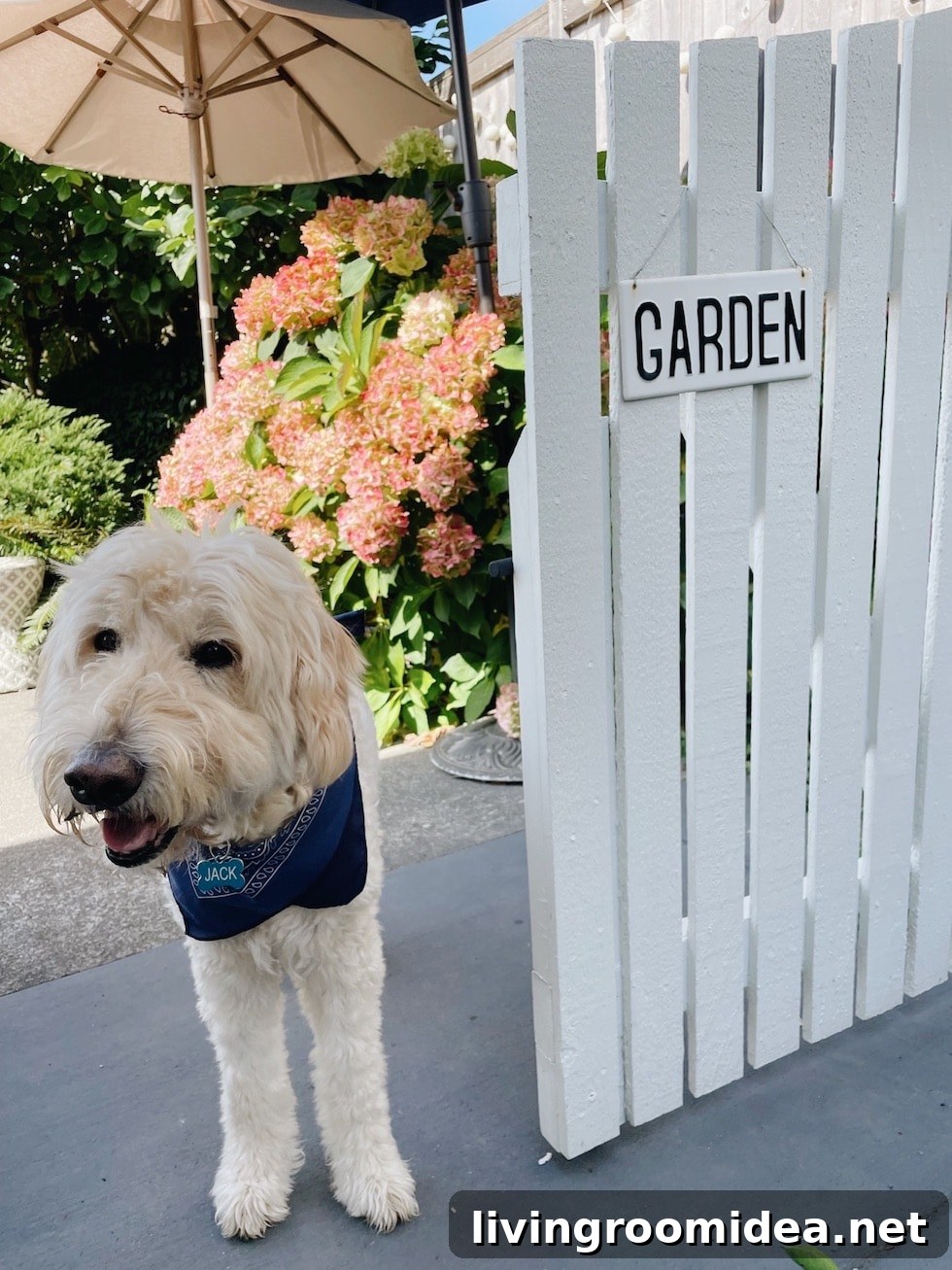Farewell, Home: Celebrating Years of Memories in Our House 9 img 138337 8 2