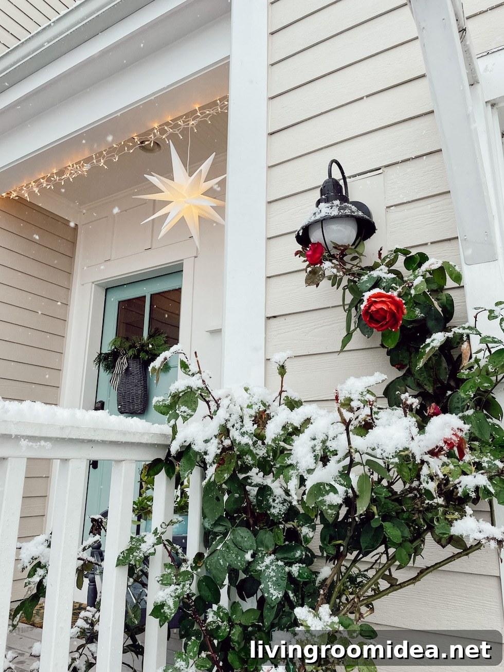 White Christmas and Winter Wonderland Celebration Guide 5 img 140378 4