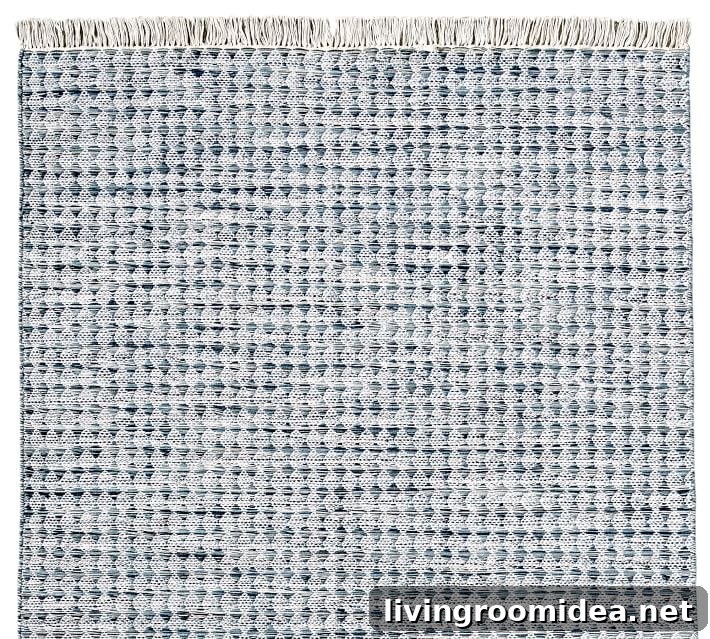 Indoor outdoor rug in space