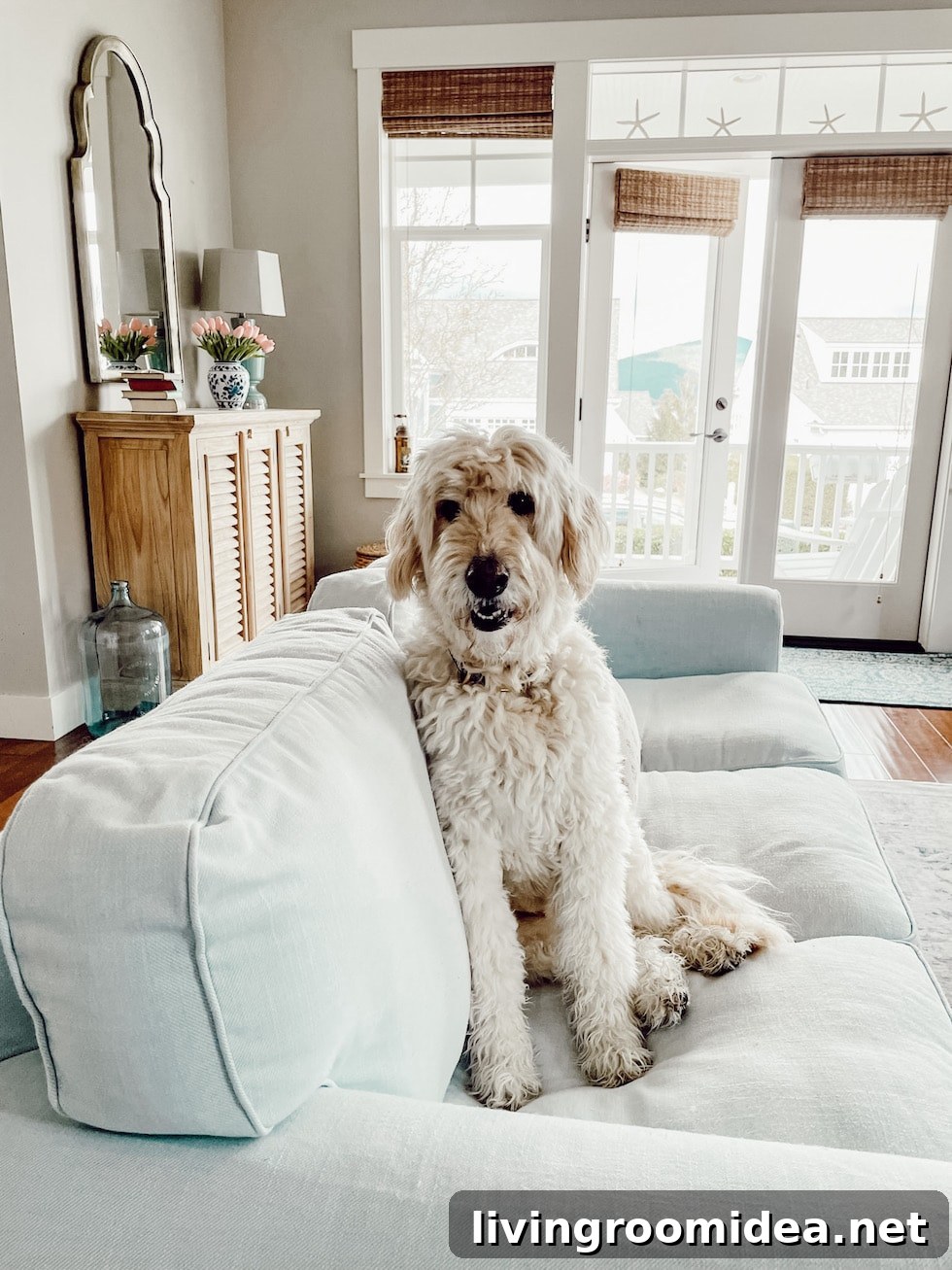 Spring Living Room Makeover: Cozy Puttering Ideas + Mood Board 2 img 141928 1 2