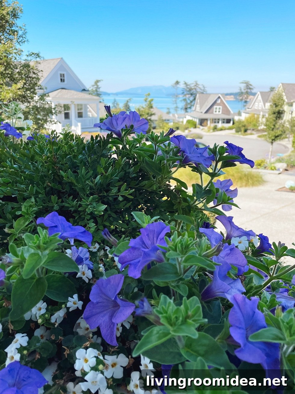 Railing Planter Boxes to Boost Your Home’s Curb Appeal 4 img 144792 3